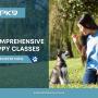 7_Positive K9 Training_Comprehensive Puppy Classes.jpg