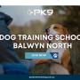 4_Positive K9 Training_Dog Training School Balwyn North.jpg