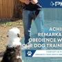 12_Positive K9 Training_reliable dog obedience training service.jpg