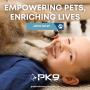 9_Positive K9 Training_Empowering Pets, Enriching Lives.jpg