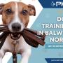 1_Positive K9 Training_Dog Training in Balwyn North.jpg