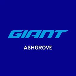 Giant Ashgrove