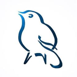 Bowerbird Collections Pty Ltd