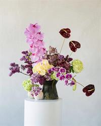 Hermetica Flowers