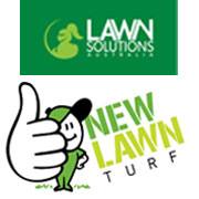 New Lawn Turf