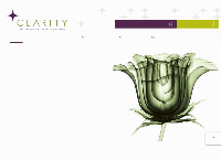 Clarity Imaging