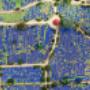 Chronicle cemetery management software preview (wide)