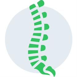 Rasura Chiropractic Alexandra Headland
