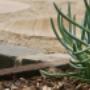 landscape design sample Sydney