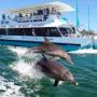 Cruise & Tour