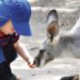 Family Fun Tours