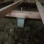 Underpinning, Restumping, Floor restoring