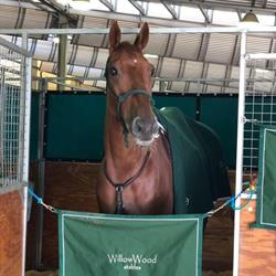 Willow Wood Stables