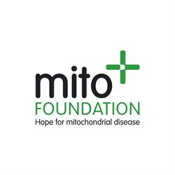 Mito Foundation