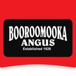 Booroomooka Angus