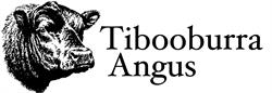 Tibooburra Angus Stud