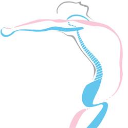 Neural Pathways Kinesiology & Massage