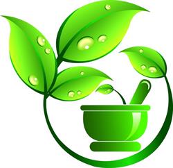 Yarra Ranges Naturopathy