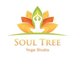 Soul Tree Yoga Studio