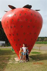 Rolin Farms (Strawberry Farm)