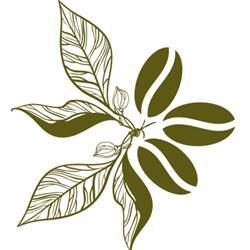 Urbano Organic Coffee Traders