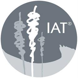 Integrative Acupuncture
