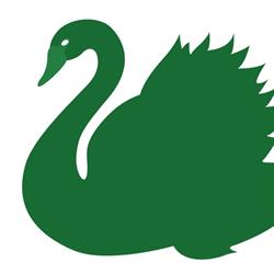Emerald Swan