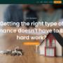 Nibo Finance Logo & Web Design