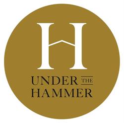Under The Hammer Training