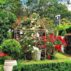 Bowral Road B & B