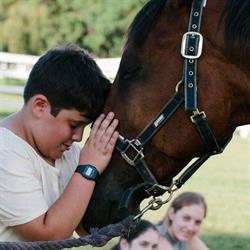 Eden Equine