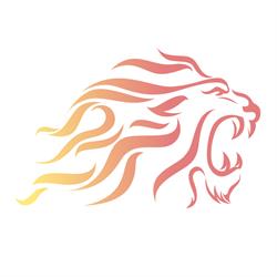 Roar Fire Systems