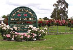 MORWELL CENTENARY ROSE GARDEN