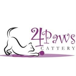 4Paws Cattery