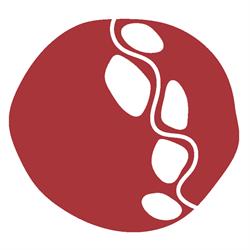 Aurora Education Foundation