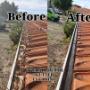 Gutter Cleaning