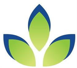 Shanley Financial Planning