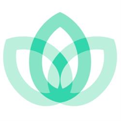 Mint Health
