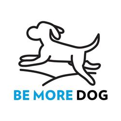 BE MORE DOG (Dog Day Care, Hydrotherapy, Dog walking & Grooming)
