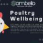 Poultry Probiotics