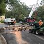 Tree Lopping Hills District