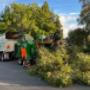Tree removal service in Penrith NSW