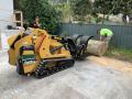 Tree Removal