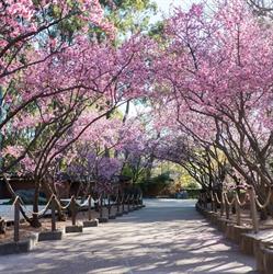 Auburn Botanic Gardens