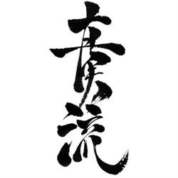 Koryu Shinjitsu-Ryu Karate-Do