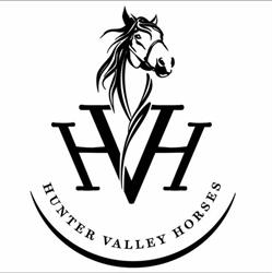 Hunter Valley Horses / @ the farm / HVH FARMS