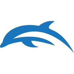 Dolphin Electrical