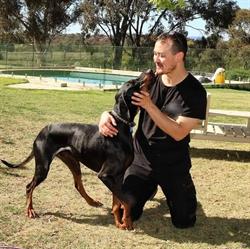 Canine Snake Avoidance
