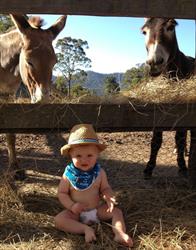 Banksia Park Cottages