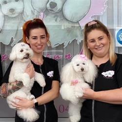 Foxy Hounds Dog Grooming Parlour
